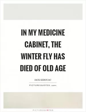 In my medicine cabinet, the winter fly has died of old age Picture Quote #1