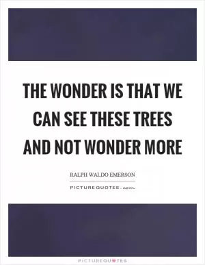 The wonder is that we can see these trees and not wonder more Picture Quote #1
