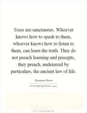 Trees are sanctuaries. Whoever knows how to speak to them, whoever knows how to listen to them, can learn the truth. They do not preach learning and precepts, they preach, undeterred by particulars, the ancient law of life Picture Quote #1