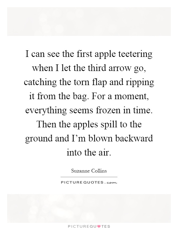 I can see the first apple teetering when I let the third arrow go, catching the torn flap and ripping it from the bag. For a moment, everything seems frozen in time. Then the apples spill to the ground and I'm blown backward into the air Picture Quote #1