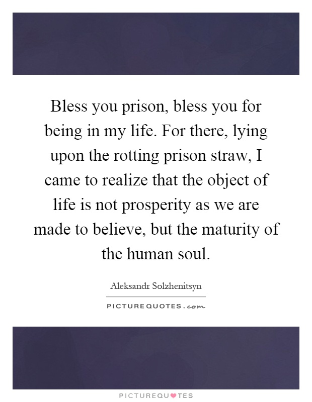 Bless you prison, bless you for being in my life. For there, lying upon the rotting prison straw, I came to realize that the object of life is not prosperity as we are made to believe, but the maturity of the human soul Picture Quote #1