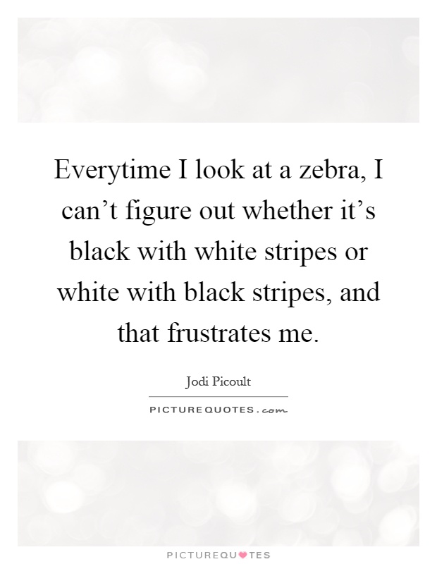Everytime I look at a zebra, I can't figure out whether it's black with white stripes or white with black stripes, and that frustrates me Picture Quote #1