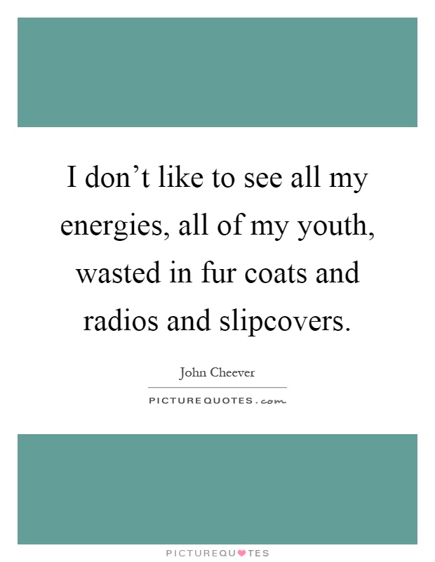 I don't like to see all my energies, all of my youth, wasted in fur coats and radios and slipcovers Picture Quote #1