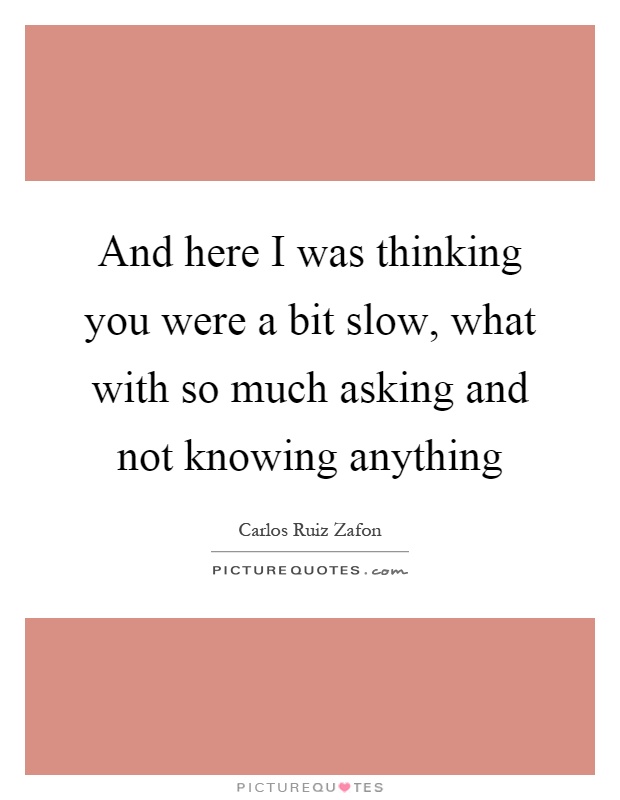 And here I was thinking you were a bit slow, what with so much asking and not knowing anything Picture Quote #1