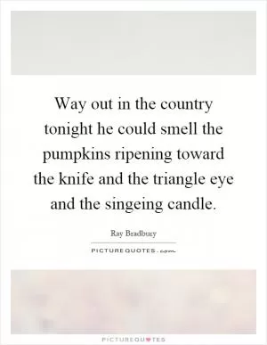 Way out in the country tonight he could smell the pumpkins ripening toward the knife and the triangle eye and the singeing candle Picture Quote #1