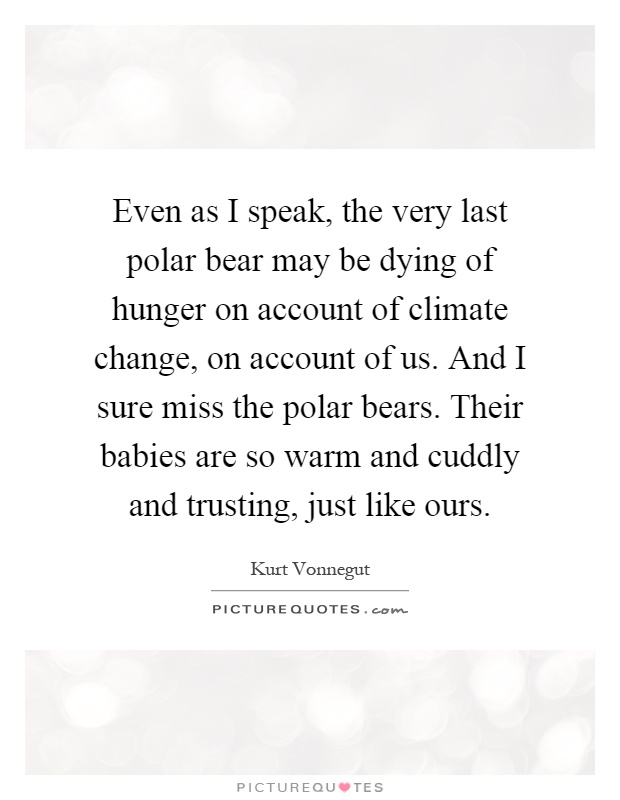 Even as I speak, the very last polar bear may be dying of hunger on account of climate change, on account of us. And I sure miss the polar bears. Their babies are so warm and cuddly and trusting, just like ours Picture Quote #1