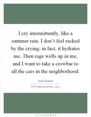 I cry intermittently, like a summer rain. I don’t feel racked by the crying; in fact, it hydrates me. Then rage wells up in me, and I want to take a crowbar to all the cars in the neighborhood Picture Quote #1