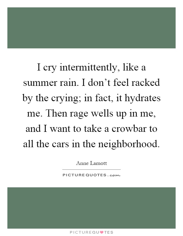 I cry intermittently, like a summer rain. I don't feel racked by the crying; in fact, it hydrates me. Then rage wells up in me, and I want to take a crowbar to all the cars in the neighborhood Picture Quote #1