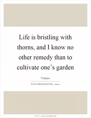 Life is bristling with thorns, and I know no other remedy than to cultivate one’s garden Picture Quote #1