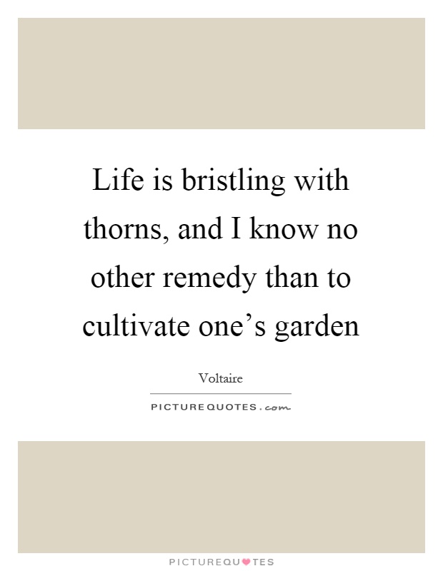 Life is bristling with thorns, and I know no other remedy than to cultivate one's garden Picture Quote #1