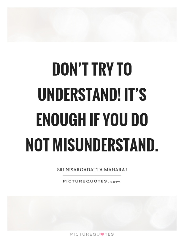 Don't try to understand! It's enough if you do not misunderstand Picture Quote #1