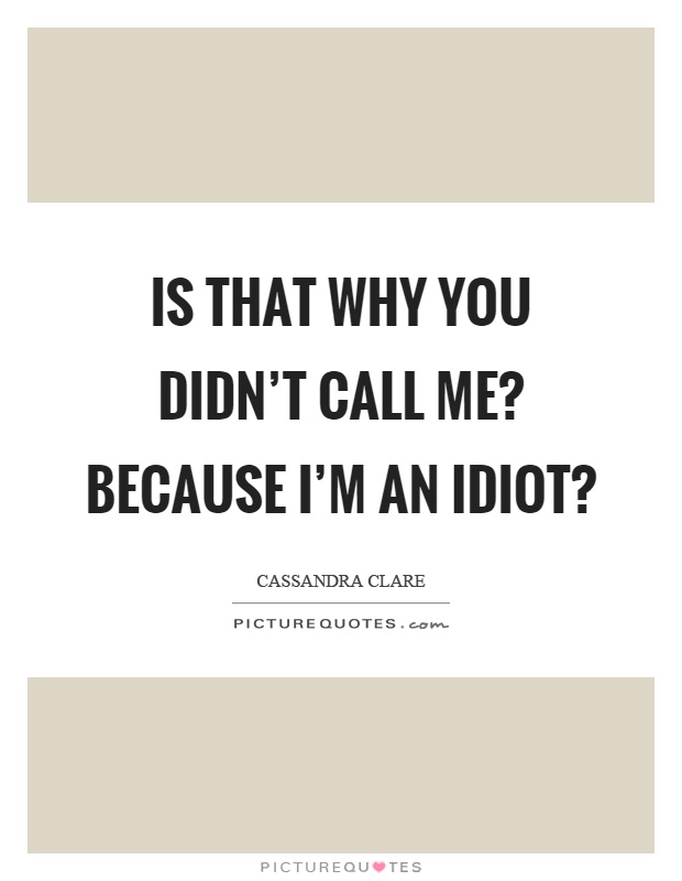 Is that why you didn't call me? Because I'm an idiot? Picture Quote #1