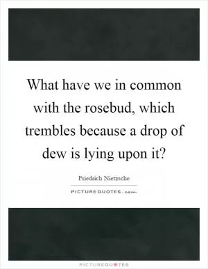 What have we in common with the rosebud, which trembles because a drop of dew is lying upon it? Picture Quote #1