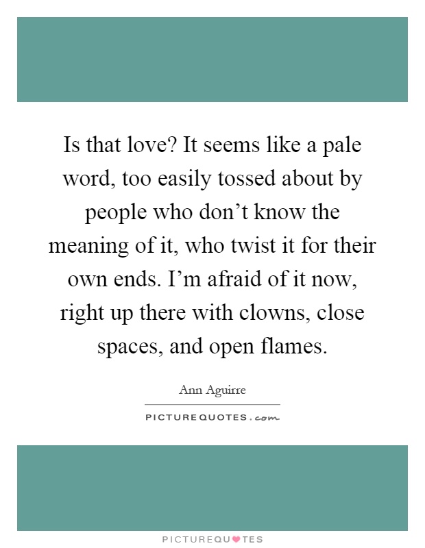 Is that love? It seems like a pale word, too easily tossed about by people who don't know the meaning of it, who twist it for their own ends. I'm afraid of it now, right up there with clowns, close spaces, and open flames Picture Quote #1