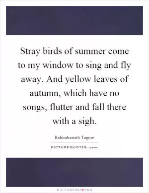 Stray birds of summer come to my window to sing and fly away. And yellow leaves of autumn, which have no songs, flutter and fall there with a sigh Picture Quote #1