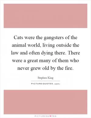 Cats were the gangsters of the animal world, living outside the law and often dying there. There were a great many of them who never grew old by the fire Picture Quote #1