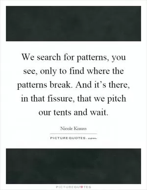 We search for patterns, you see, only to find where the patterns break. And it’s there, in that fissure, that we pitch our tents and wait Picture Quote #1