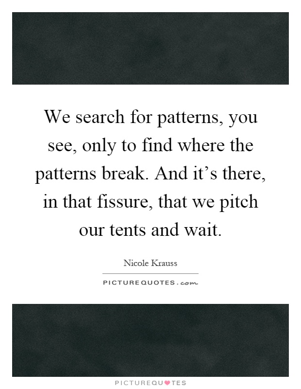 We search for patterns, you see, only to find where the patterns break. And it's there, in that fissure, that we pitch our tents and wait Picture Quote #1