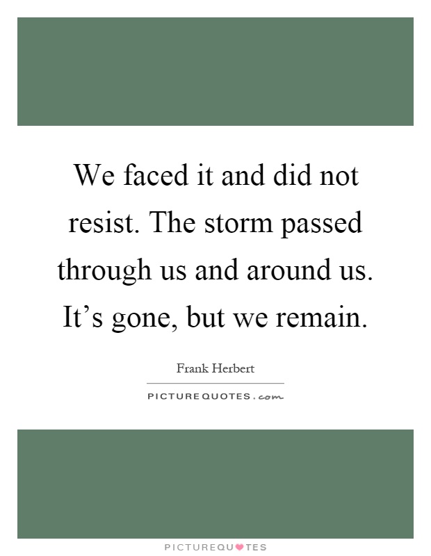 We faced it and did not resist. The storm passed through us and around us. It's gone, but we remain Picture Quote #1