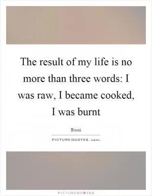 The result of my life is no more than three words: I was raw, I became cooked, I was burnt Picture Quote #1