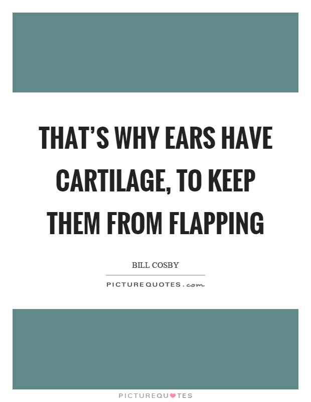 That's why ears have cartilage, to keep them from flapping Picture Quote #1