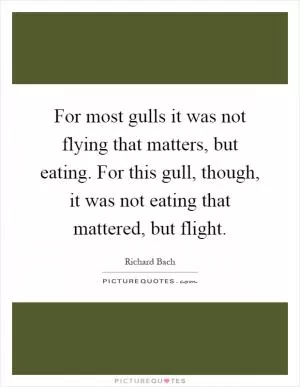 For most gulls it was not flying that matters, but eating. For this gull, though, it was not eating that mattered, but flight Picture Quote #1