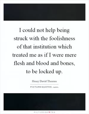 I could not help being struck with the foolishness of that institution which treated me as if I were mere flesh and blood and bones, to be locked up Picture Quote #1