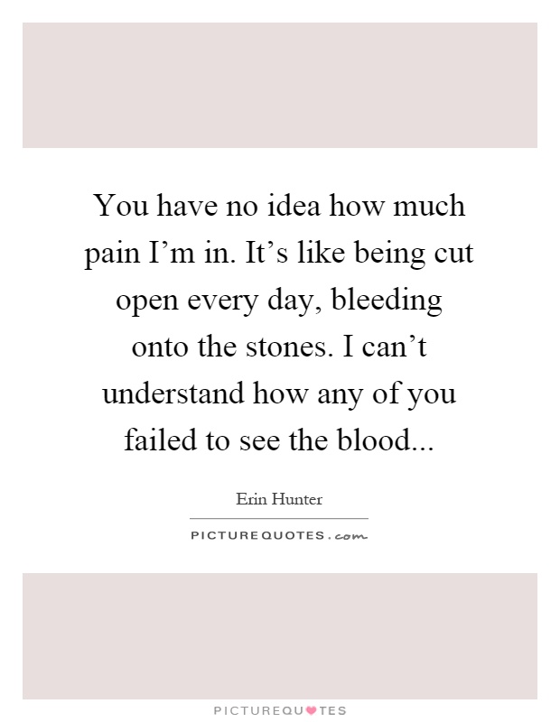 You have no idea how much pain I'm in. It's like being cut open every day, bleeding onto the stones. I can't understand how any of you failed to see the blood Picture Quote #1