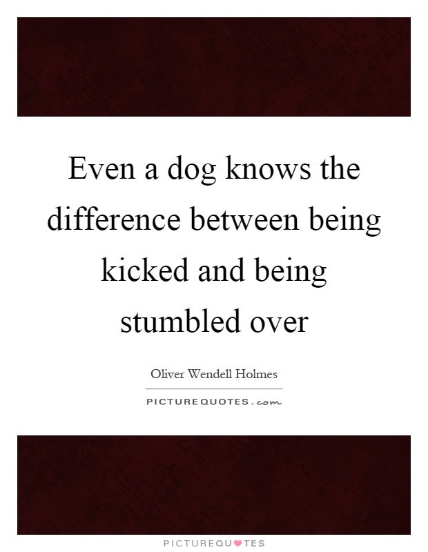 Even a dog knows the difference between being kicked and being stumbled over Picture Quote #1