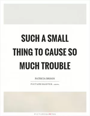 Such a small thing to cause so much trouble Picture Quote #1