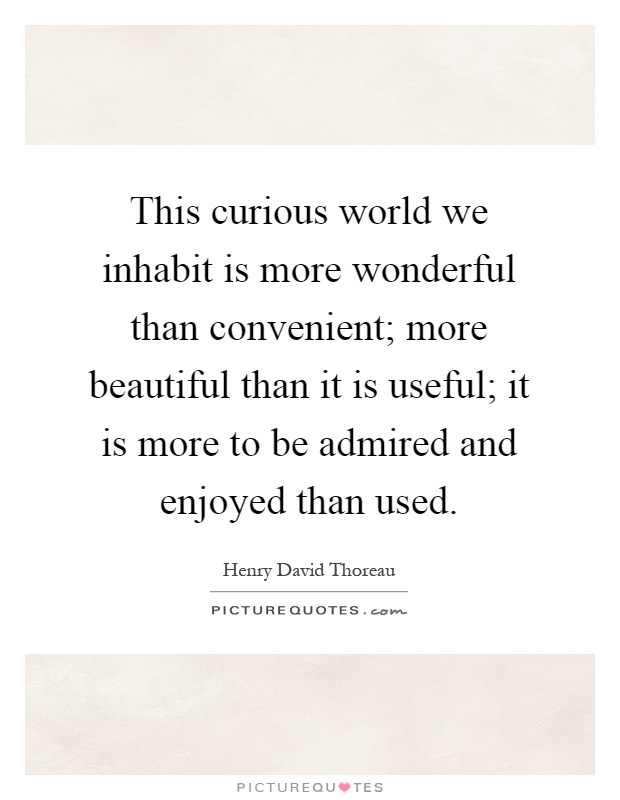 This curious world we inhabit is more wonderful than convenient; more beautiful than it is useful; it is more to be admired and enjoyed than used Picture Quote #1