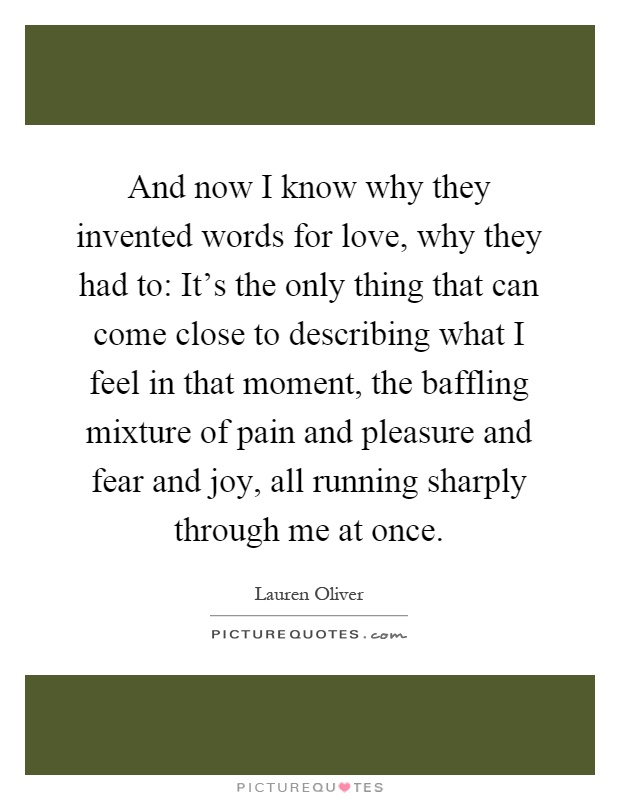 And now I know why they invented words for love, why they had to: It's the only thing that can come close to describing what I feel in that moment, the baffling mixture of pain and pleasure and fear and joy, all running sharply through me at once Picture Quote #1