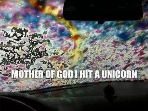 Mother of God, I hit a unicorn Picture Quote #1