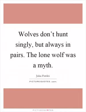 Wolves don’t hunt singly, but always in pairs. The lone wolf was a myth Picture Quote #1