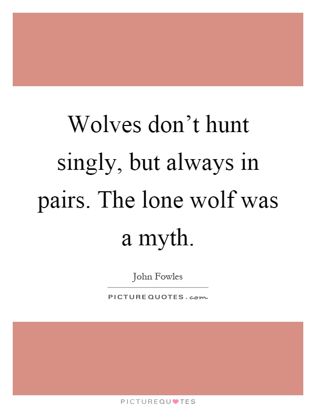 Wolves don't hunt singly, but always in pairs. The lone wolf was a myth Picture Quote #1
