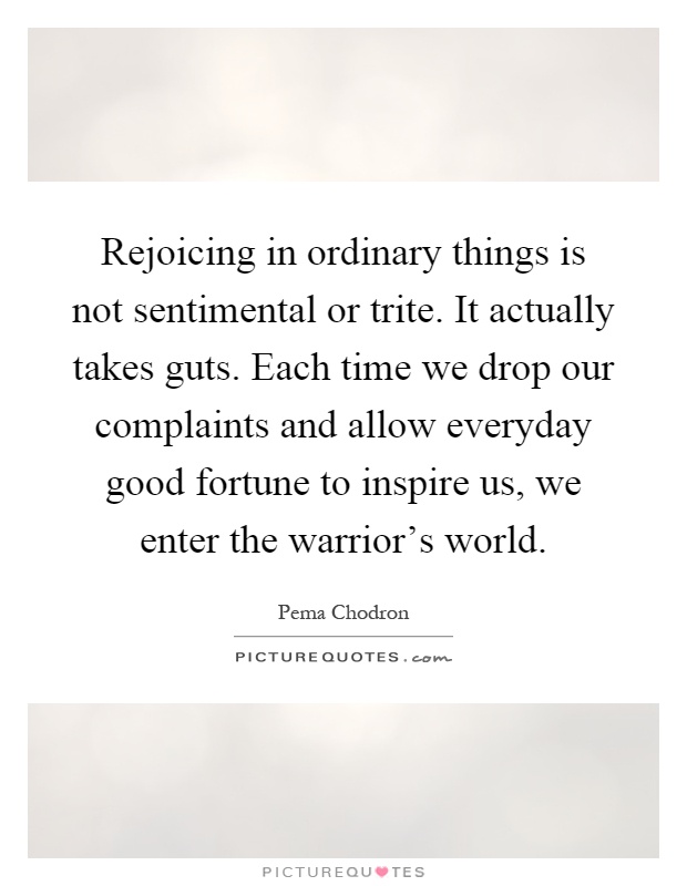 Rejoicing in ordinary things is not sentimental or trite. It actually takes guts. Each time we drop our complaints and allow everyday good fortune to inspire us, we enter the warrior's world Picture Quote #1