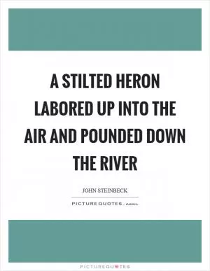 A stilted heron labored up into the air and pounded down the river Picture Quote #1