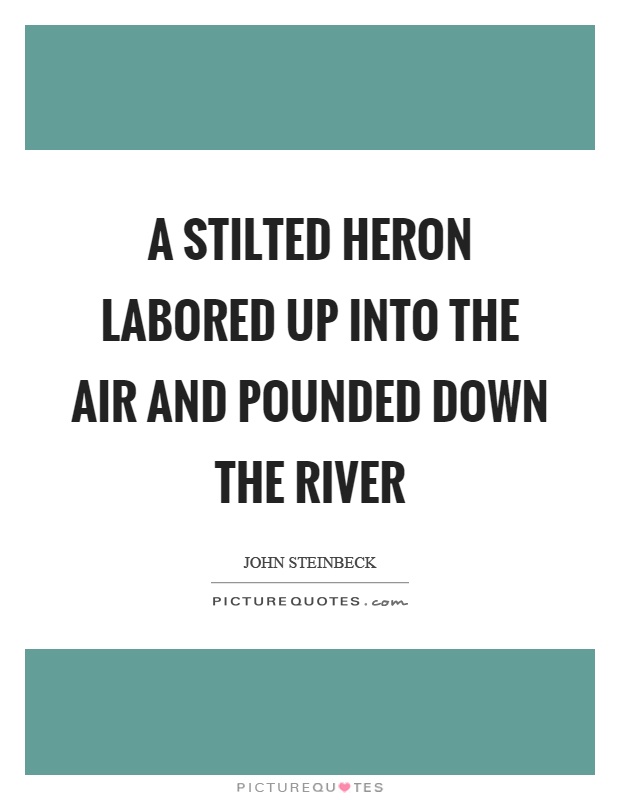 A stilted heron labored up into the air and pounded down the river Picture Quote #1