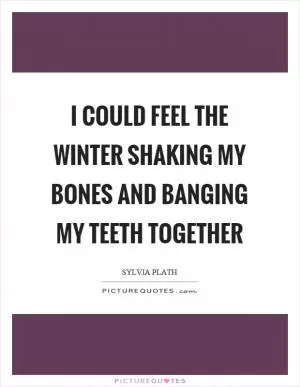 I could feel the winter shaking my bones and banging my teeth together Picture Quote #1