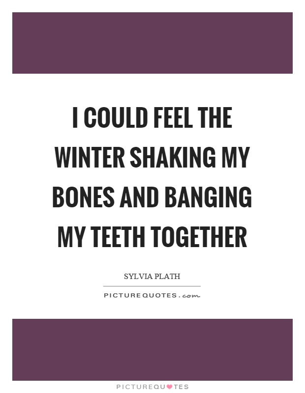 I could feel the winter shaking my bones and banging my teeth together Picture Quote #1