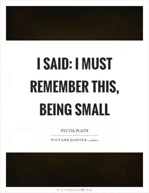 I said: I must remember this, being small Picture Quote #1