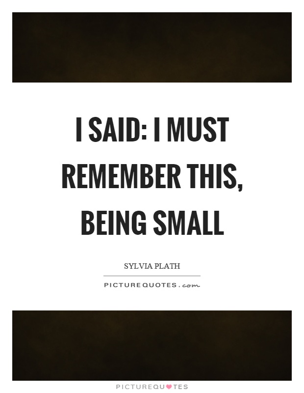 I said: I must remember this, being small Picture Quote #1