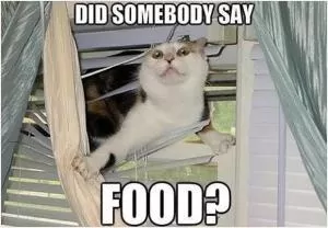 Did somebody say food? Picture Quote #1