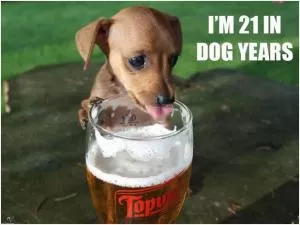 I’m 21 in dog years Picture Quote #1