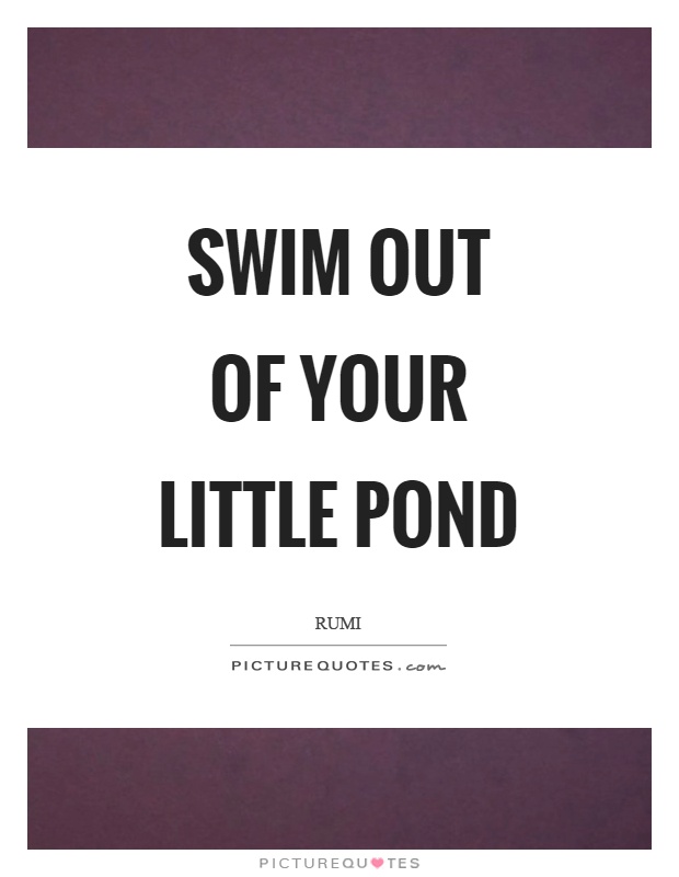 Swim out of your little pond Picture Quote #1