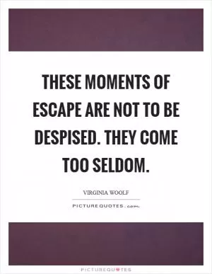 These moments of escape are not to be despised. They come too seldom Picture Quote #1