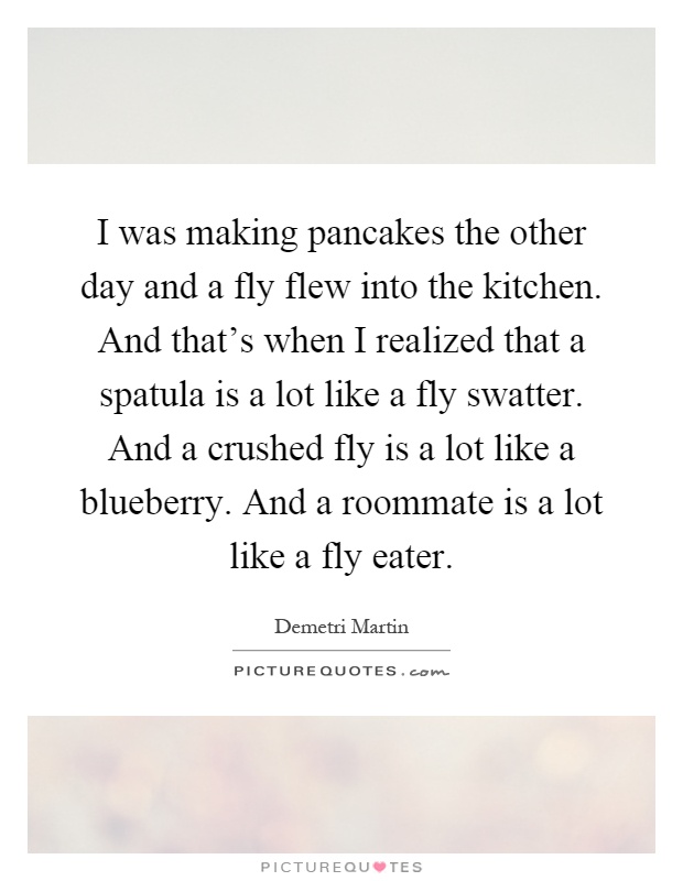 I was making pancakes the other day and a fly flew into the kitchen. And that's when I realized that a spatula is a lot like a fly swatter. And a crushed fly is a lot like a blueberry. And a roommate is a lot like a fly eater Picture Quote #1