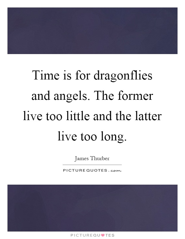 Time is for dragonflies and angels. The former live too little and the latter live too long Picture Quote #1