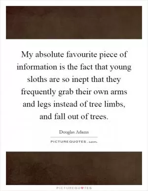 My absolute favourite piece of information is the fact that young sloths are so inept that they frequently grab their own arms and legs instead of tree limbs, and fall out of trees Picture Quote #1