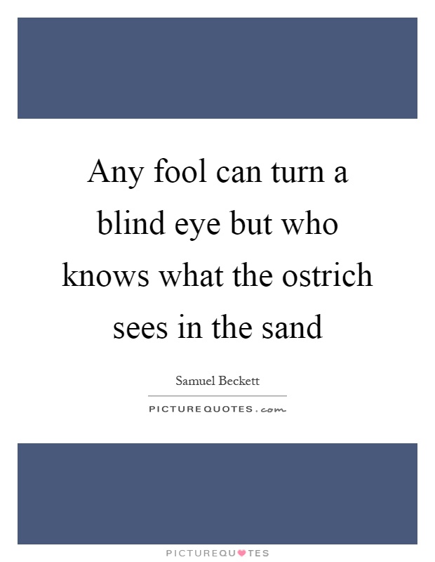 Any fool can turn a blind eye but who knows what the ostrich sees in the sand Picture Quote #1